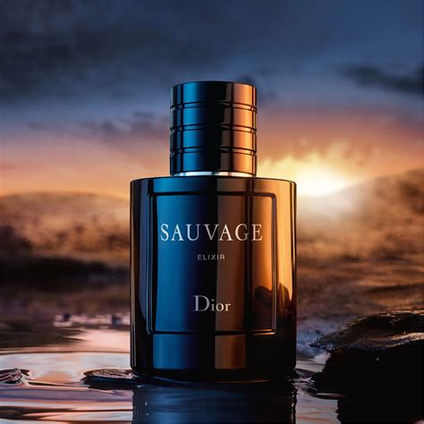 dior sauvage elixir 100ml price in india|sauvage elixir 100ml price.